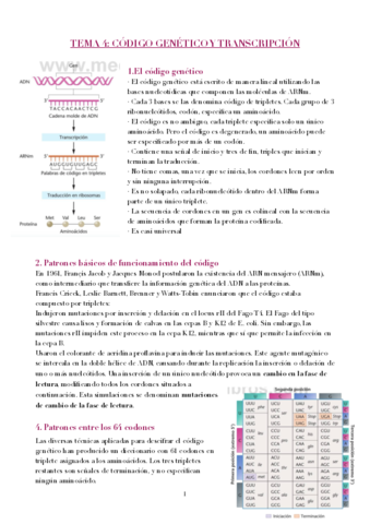 TEMA-4-CAP13.pdf