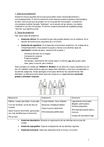 Tema 1 Generalidades