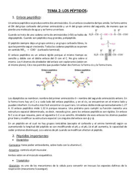 Tema 2. Los péptidos..pdf