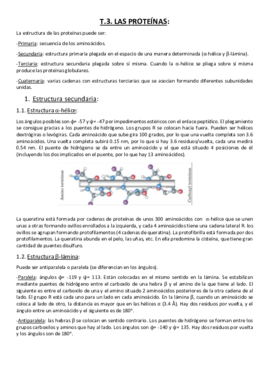 Tema 3. Las proteínas..pdf