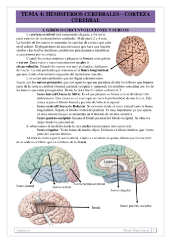 TEMA-4.pdf