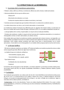 Tema 2. Estructura de la membrana..pdf