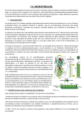 Tema 4. Microtúbulos..pdf