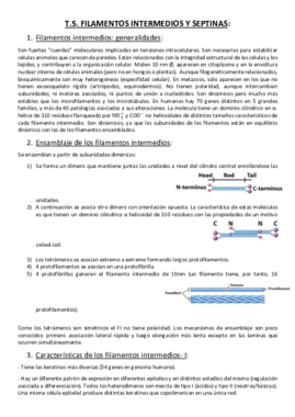 Tema 5. Filamentos Intermedios y Septinas..pdf