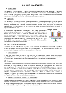 Tema 8. Endo y Fagocitosis..pdf