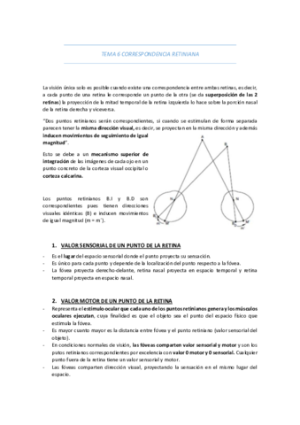 TEMA-6-CORRESPONDENCIA-RETINIANA.pdf