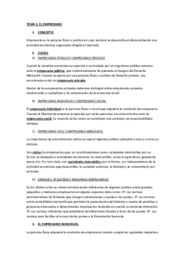 Tema 3 El empresario (pdf).pdf