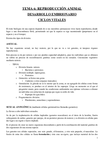 Zoologia2.pdf