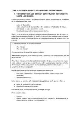 TEMA 26.pdf