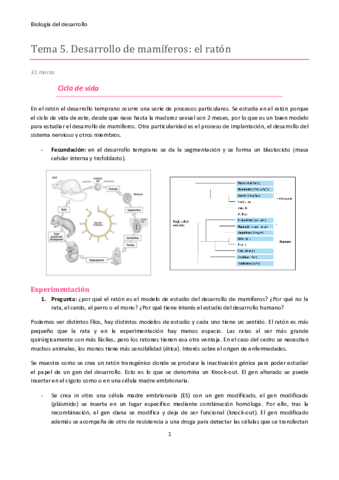 BD-T5.pdf