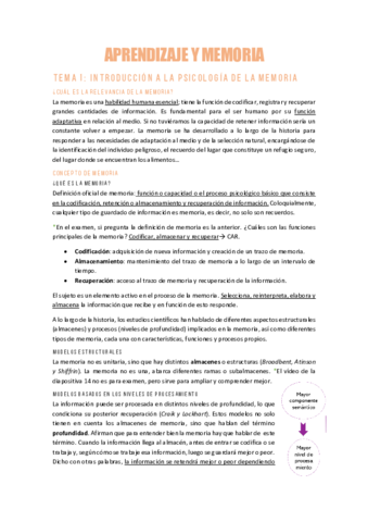 AYMT1Introduccion-a-la-psicologia-de-la-memoria.pdf