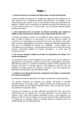 TEMA 1.pdf