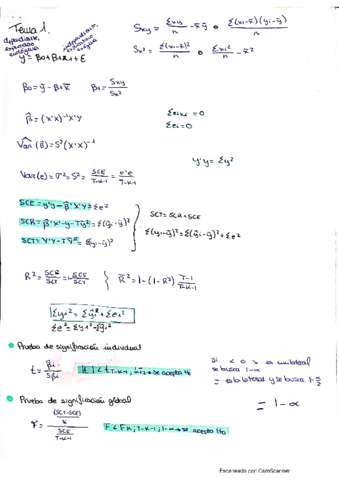 Temario-formulas-y-practicas.pdf