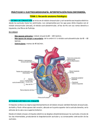 TEMAS-ECG.pdf