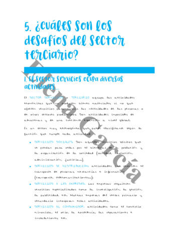 Resumem-tema-5-geo.pdf