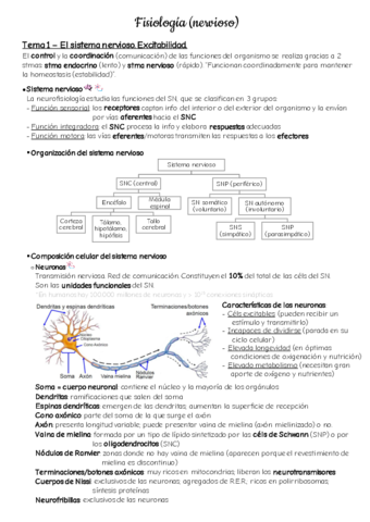 Apuntes-fisio-nervioso.pdf