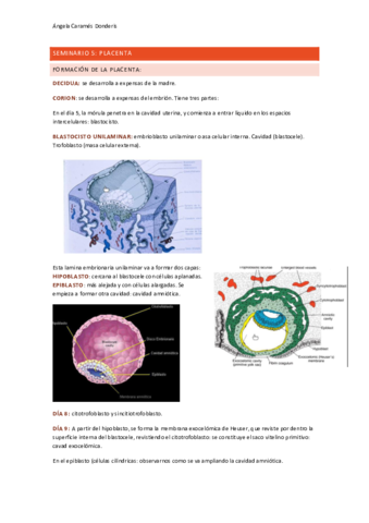 Seminario-5-placenta-.pdf
