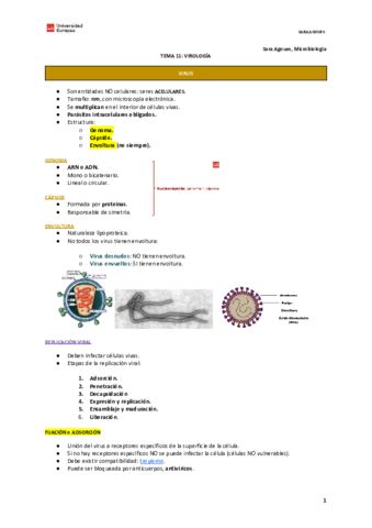 Copia-de-TEMA-11.pdf