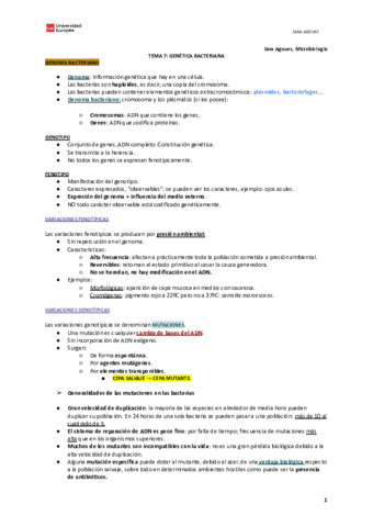 Copia-de-TEMA-7.pdf