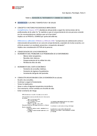Copia-de-TEMA-6.pdf