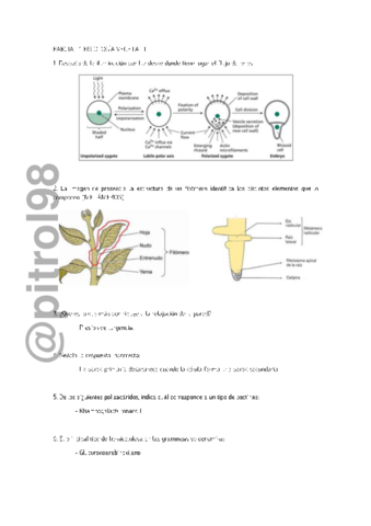 PARCIAL-1-FISIOLOGIA-VEGETAL-II-M.pdf