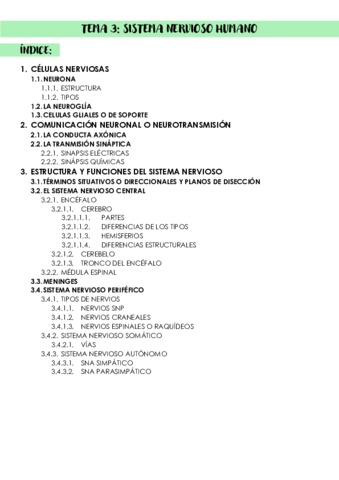 TEMA-3-SISTEMA-NERVIOSO.pdf