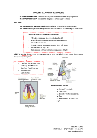 RESUMEN-UF4.pdf