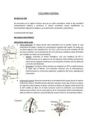 COLUMNA-DORSAL.pdf
