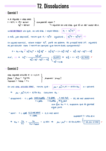 P2-Dissolucions.pdf