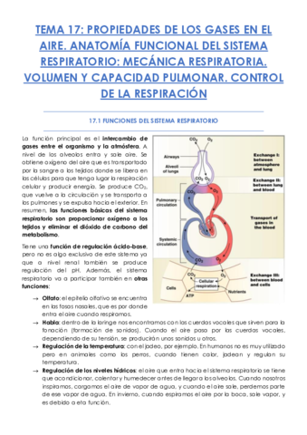 TEMA-17.pdf