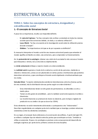 TEMA-1-Sobre-los-conceptos-de-Estructura-desigualdad-y-estratificacion-social.pdf
