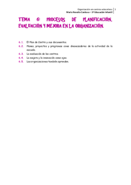 TEMA 6 Procesos de planificación evaluación y mejora en la organización.pdf