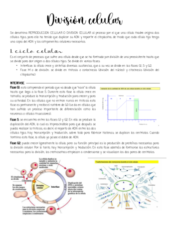 Division-celular.pdf