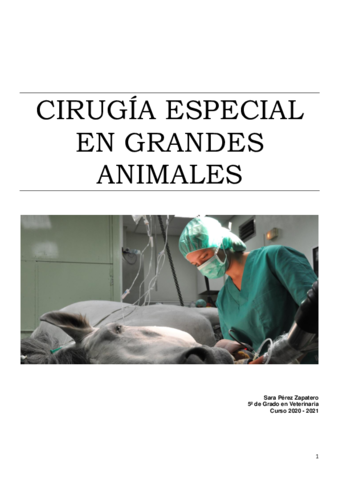 Ciru-especial-de-grandes-animales-COMPLETO.pdf