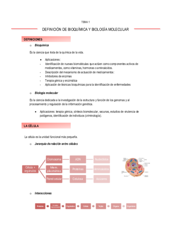 Teoria-bioquimica.pdf