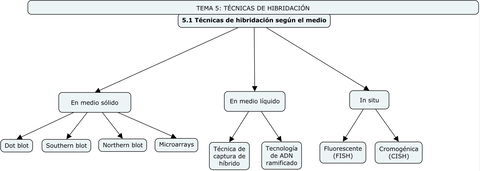 5.1-TECNICAS-DE-HIBRIDACION-SEGUN-EL-MEDIO.jpg