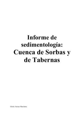 Informe de sedimentologia.pdf