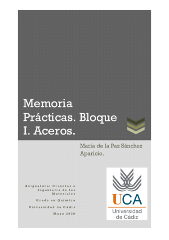 informe-practica-acerosbuena-notaMpz.pdf