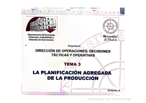 Diapositivas-tema-3-DOTO.pdf