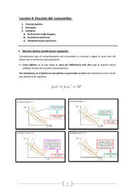 Lección 4. Elecciones del consumidor.pdf
