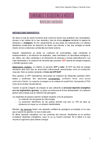 SEMINARIO-I-BIOQUIMICA-MEDICA.pdf