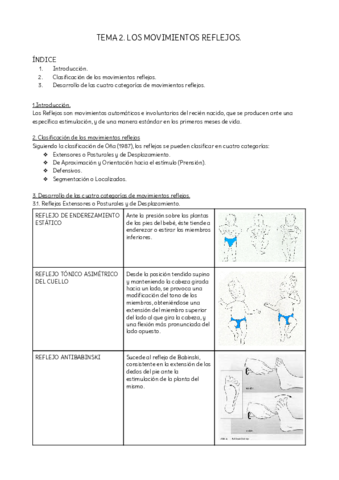TEMA-2.pdf