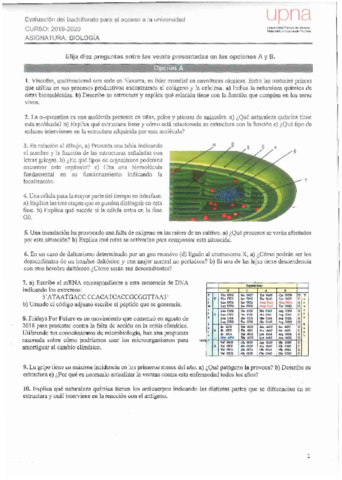 Examenes-EvAU-biologia-cursos-19-20-al-13-14.pdf