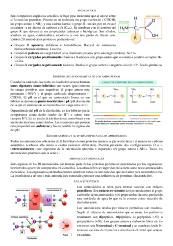 Tema-5-y-6.pdf