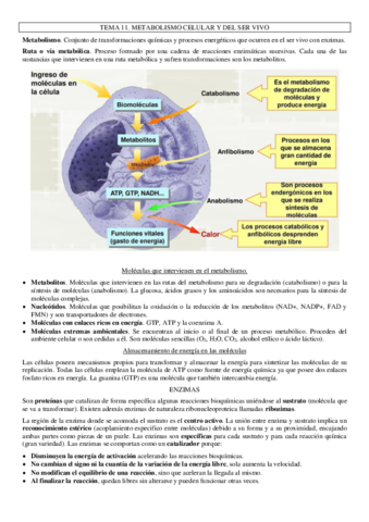 Tema-1112-y-13.pdf