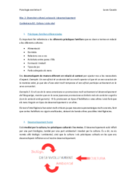 Confe B2.pdf