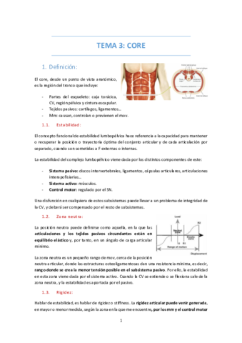 TEMA-3-CORE.pdf