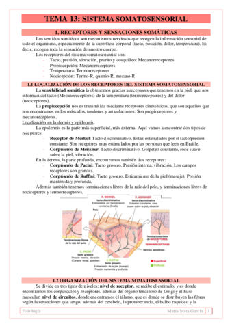 TEMA 13. Sistema somatosensorial