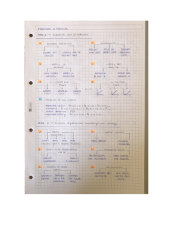 Esquemas-Temas-1-2.pdf