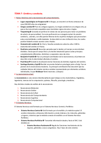 TEMA-7.pdf